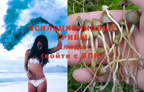 хмурый Лагань