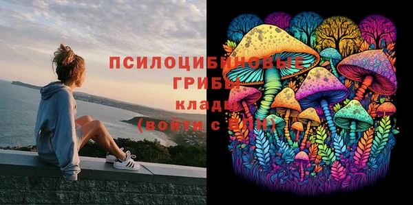 хмурый Лагань
