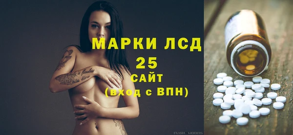 хмурый Лагань