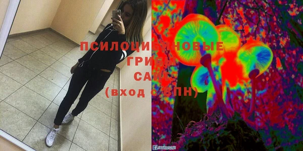 хмурый Лагань