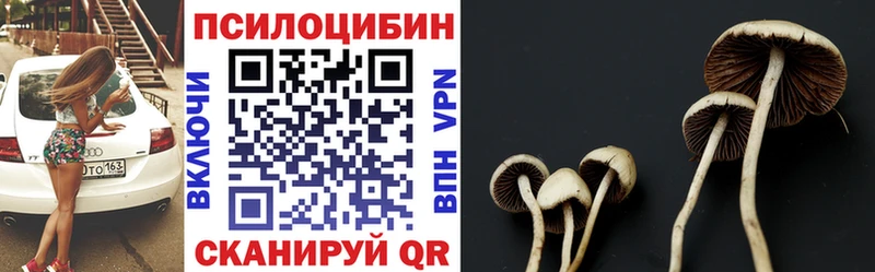 купить   Комсомольск-на-Амуре  OMG как зайти  Псилоцибиновые грибы мухоморы 